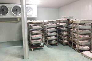 肉類(lèi)凍庫(kù)